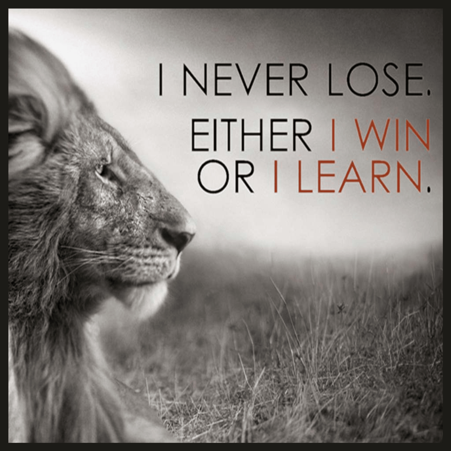 Win Or Learn
