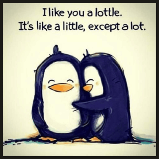 Lottle