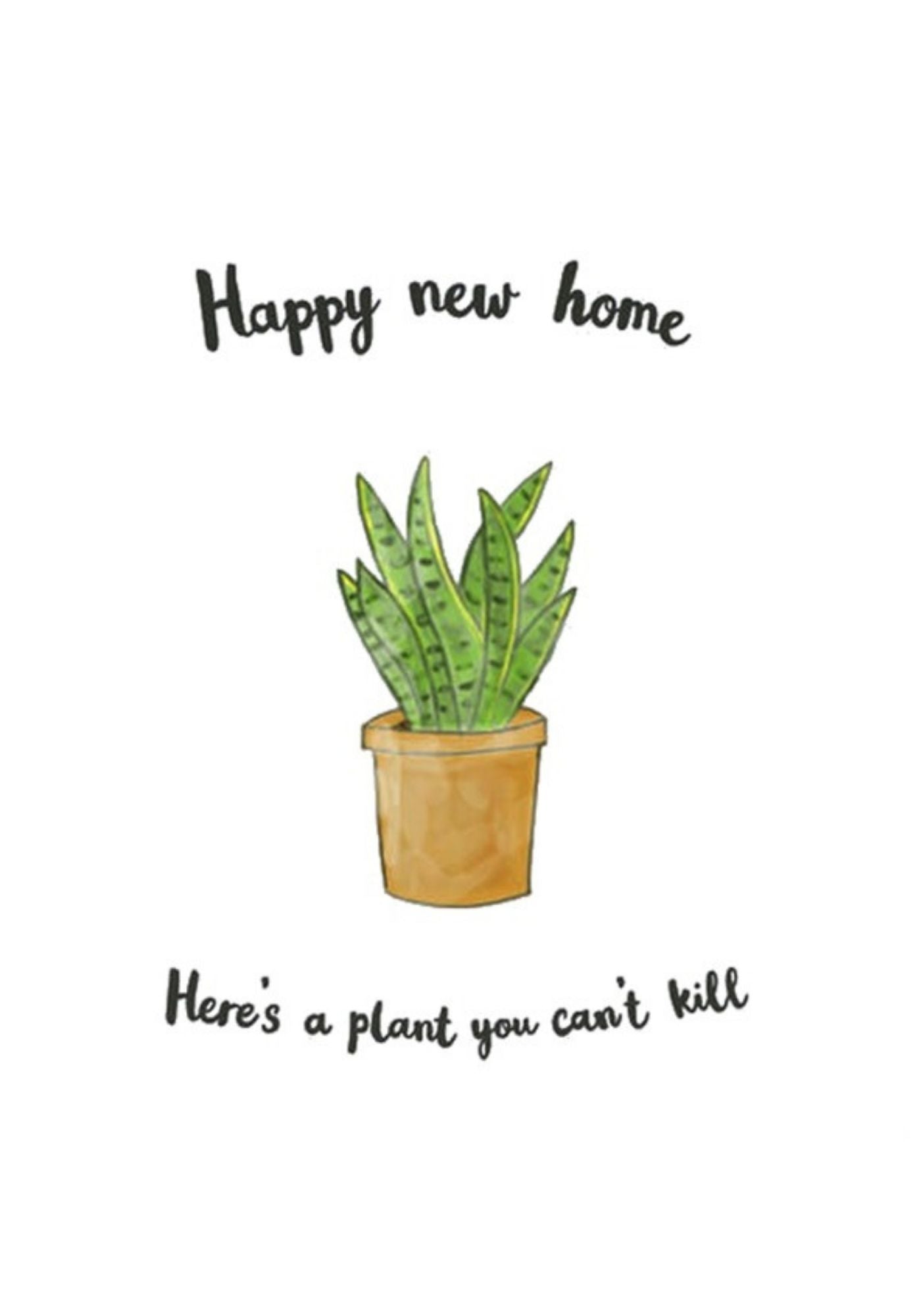 Plant Home